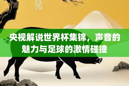 央视解说世界杯集锦，声音的魅力与足球的激情碰撞