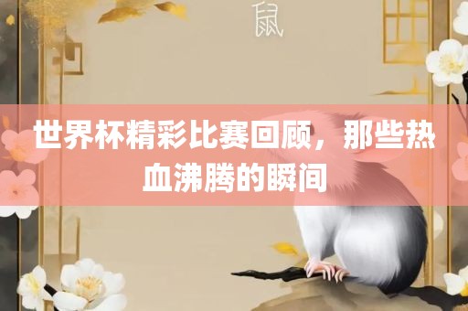 世界杯精彩比赛回顾，那些热血沸腾的瞬间