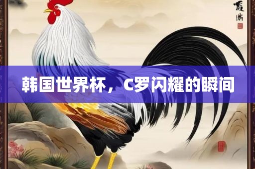 韩国世界杯，C罗闪耀的瞬间