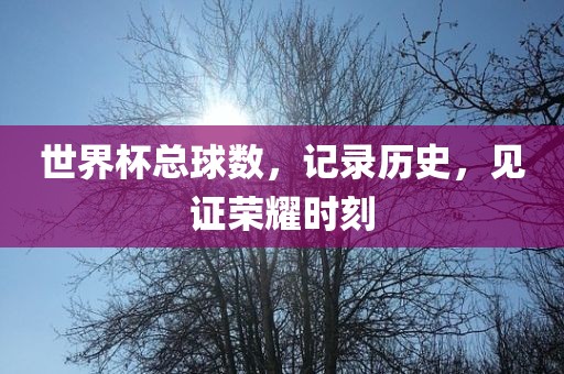 世界杯总球数，记录历史，见证荣耀时刻