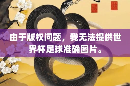 由于版权问题，我无法提供世界杯足球准确图片。漯河市盈旭机械设备有限公司