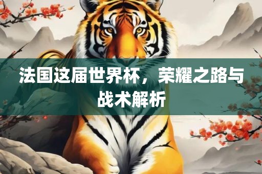 法国这届世界杯，荣耀之路与战术解析