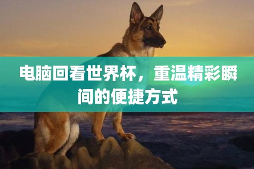 电脑回看世界杯，重温精彩瞬间的便捷方式