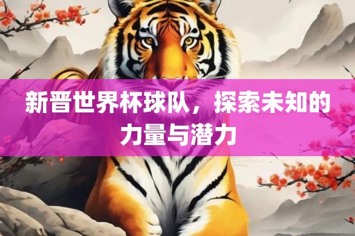 新晋世界杯球队，探索未知的力量与潜力