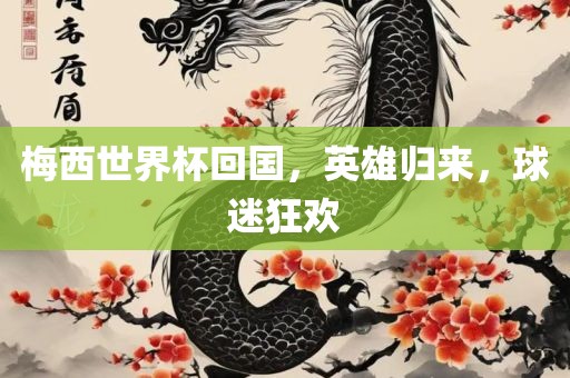 梅西世界杯回国，英雄归来，球迷狂欢
