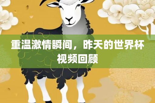 重温激情瞬间，昨天的世界杯视频回顾