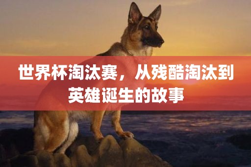世界杯淘汰赛，从残酷淘汰到英雄诞生的故事