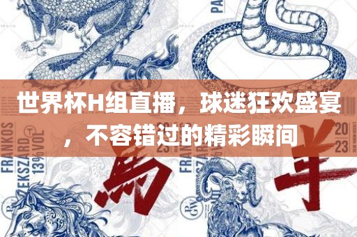世界杯H组直播，球迷狂欢盛宴，不容错过的精彩瞬间