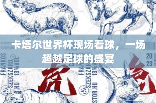 卡塔尔世界杯现场看球，一场超越足球的盛宴