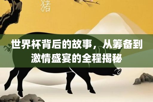 世界杯背后的故事，从筹备到激情盛宴的全程揭秘