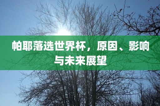 帕耶落选世界杯，原因、影响与未来展望