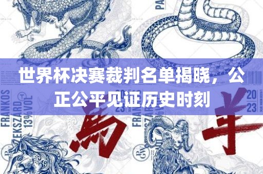 世界杯漯河市盈旭机械设备有限公司决赛裁判名单揭晓，公正公平见证历史时刻