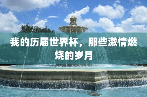 我的历届世界杯，那些激情燃烧的岁月
