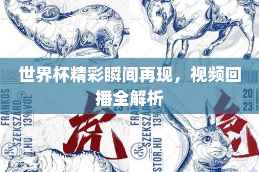 世界杯精彩瞬间再现，视频回播全解析