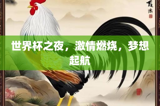 世界杯之夜，激情燃烧，梦想起航