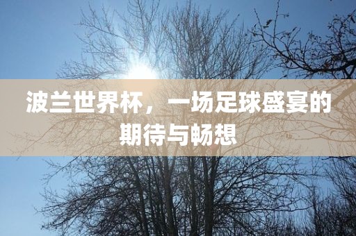 波兰世界杯，一场足球盛宴的期待与畅想漯河市盈旭机械设备有限公司