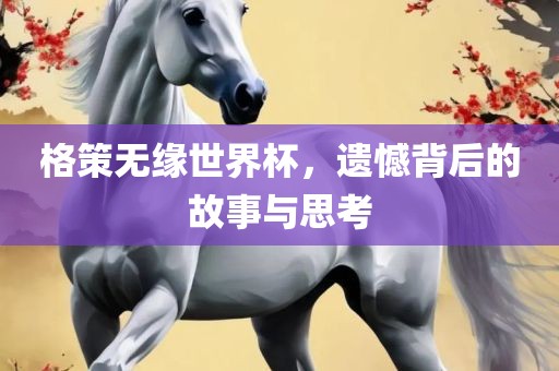 格策无缘世界杯，遗憾背后的故事与思考漯河市盈旭机械设备有限公司