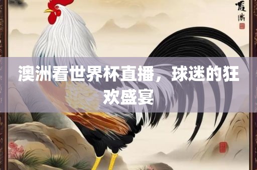 澳洲看世界杯直播，球迷的狂欢盛宴