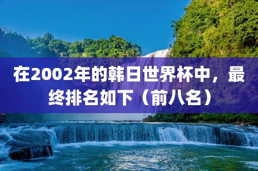 在2002年的韩日世界杯中，最终排名如下（前八名）
