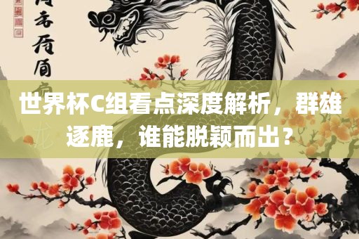 世界杯C组看点深度解析，群雄逐鹿，谁能脱颖而出？
