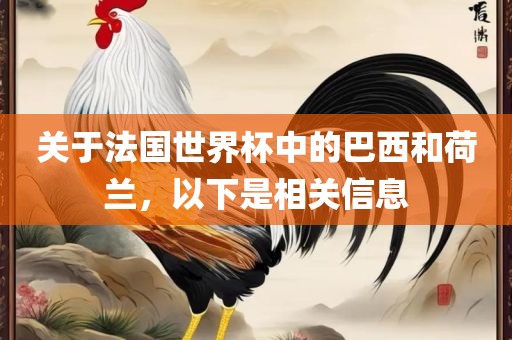 关于法国世界杯中的巴西和荷兰，以下是相关信息