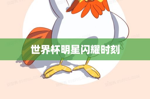 漯河市盈旭机械设备有限公司世界杯明星闪耀时刻