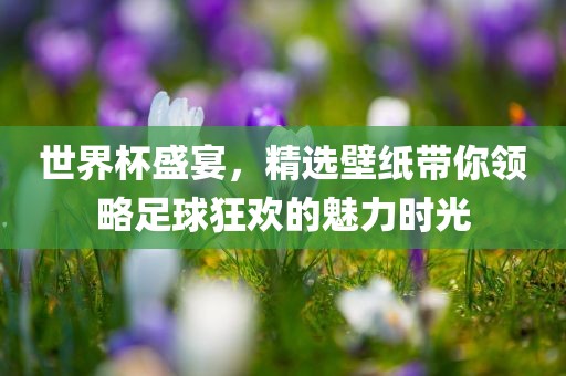世界杯盛宴，精选壁纸带你领略足球狂欢的魅力时光