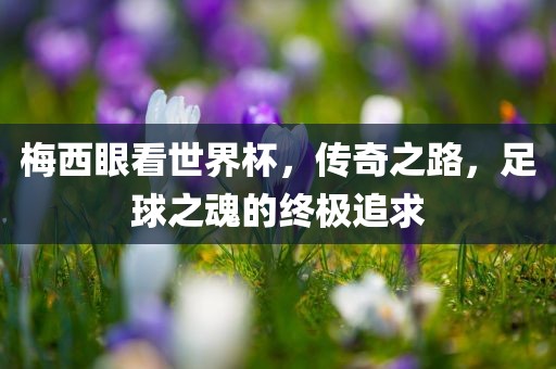 梅西眼看世界杯，传奇之路，足球之魂的终极追求
