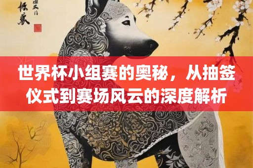 世界杯小组赛的奥秘，从抽签仪式到赛场风云的深度解析