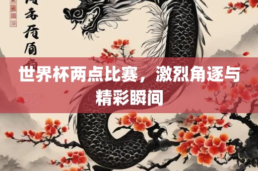 世界杯两点比赛，激烈角逐与精彩瞬间