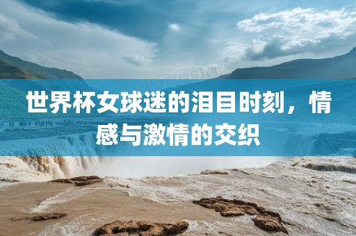 世界杯女球迷的泪目时刻，情感与激情的交织