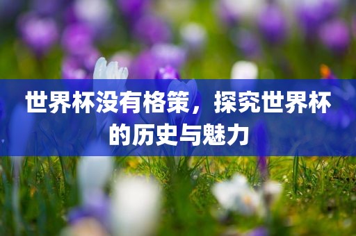 世界杯没有格策，探究世界杯的历史与魅力