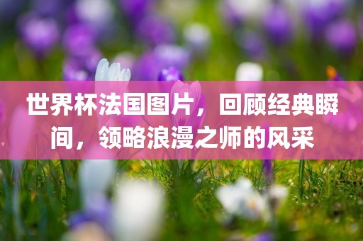 世界杯法国图片，回顾经典瞬间，领略浪漫之师的风采漯河市盈旭机械设备有限公司
