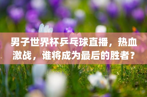 男子世界杯乒乓球直播，热血激战，谁将成为最后的胜者？