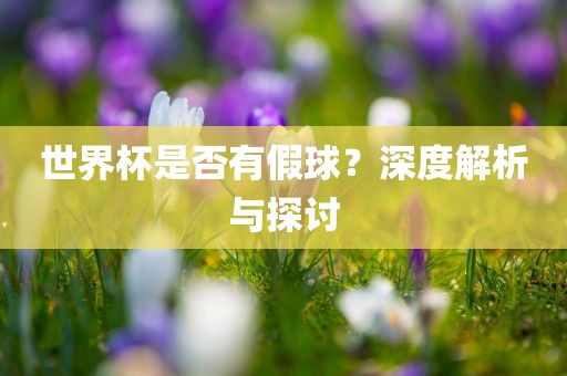 世界杯是否有假球？深度解析与探讨