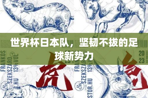世界杯日本队，坚韧不拔的足球新势力