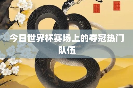今日世界杯赛场上的夺冠热门队伍漯河市盈旭机械设备有限公司