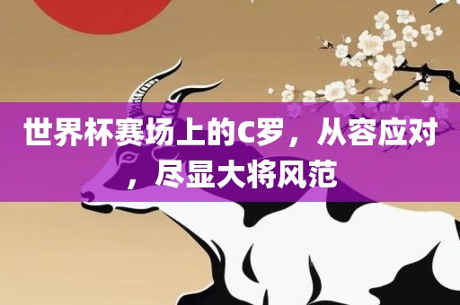 世界杯赛场上的C罗，从容应对，尽显大将风范漯河市盈旭机械设备有限公司