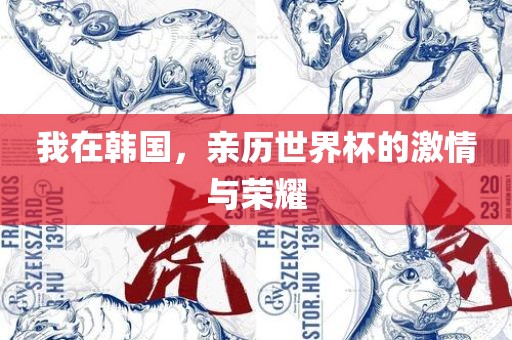 我在韩国，亲历世界杯的激情与荣耀漯河市盈旭机械设备有限公司