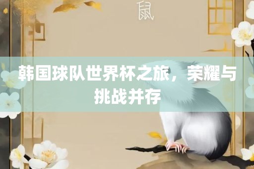 韩国球队世界杯之旅，荣耀与挑战并存
