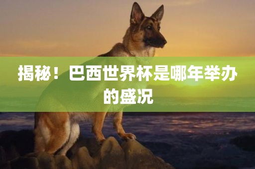 揭秘！巴西世界杯是哪年举办的盛况