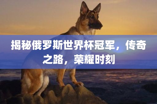 揭秘俄罗斯世界杯冠军，传奇之路，荣耀时刻
