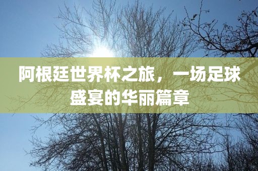 阿根廷世界杯之旅，一场足球盛宴的华丽篇章
