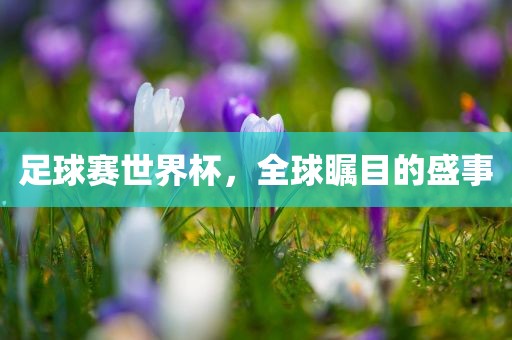 足球赛世界杯，全球瞩目的盛事漯河市盈旭机械设备有限公司