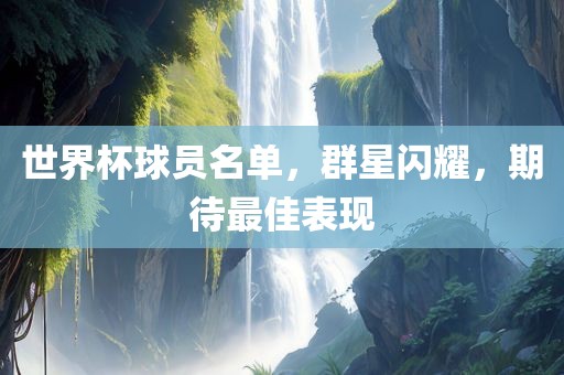 世界杯球员名单，群星闪耀，期待最佳表现漯河市盈旭机械设备有限公司