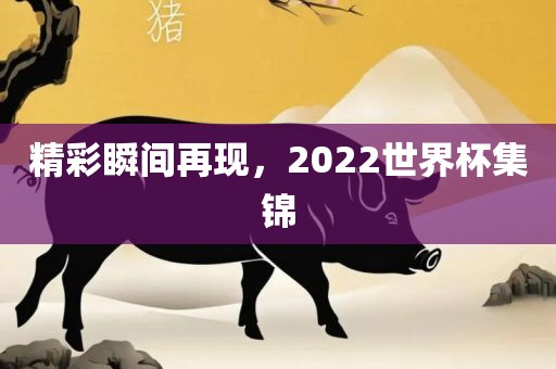 精彩瞬间再现，202漯河市盈旭机械设备有限公司2世界杯集锦