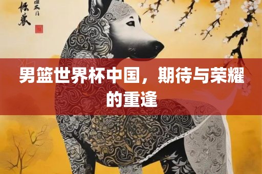 男篮世界杯中国，期待与荣耀的重逢