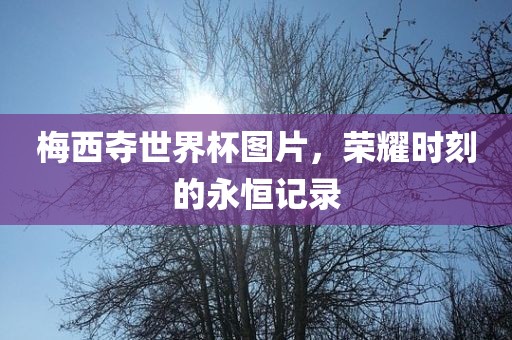 梅西夺世界杯图片，荣耀时刻的永恒记录
