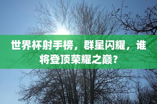 世界杯射手榜，群星闪耀，谁将登顶荣耀之巅？