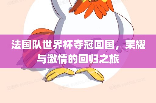 法国队世界杯夺冠回国，荣耀与激情的回归之旅